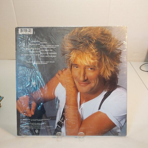 Rod Stewart ~ Out Of Order (Vinyl LP, 1988) - Picture 4 of 4